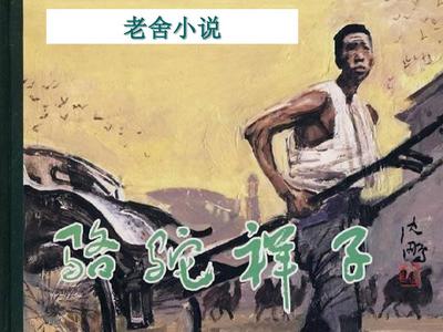 8050午夜二级一片超能网